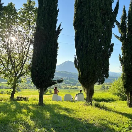 Il Sogno * Camerino