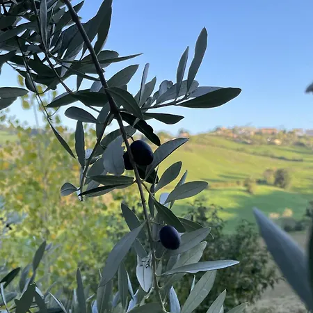 Il Sogno شقة